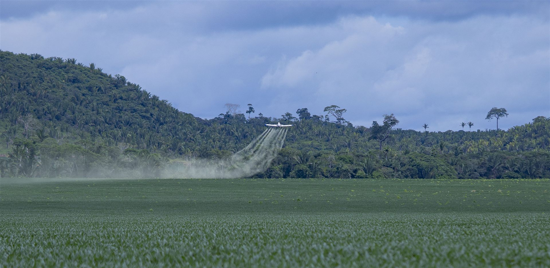 Avião da Jusarah pulverizando lavoura de soja